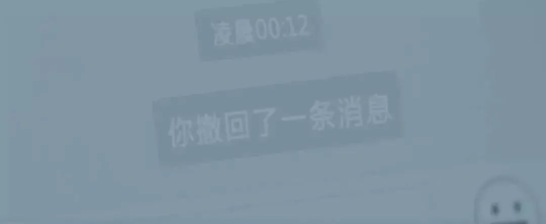 2019020306294088